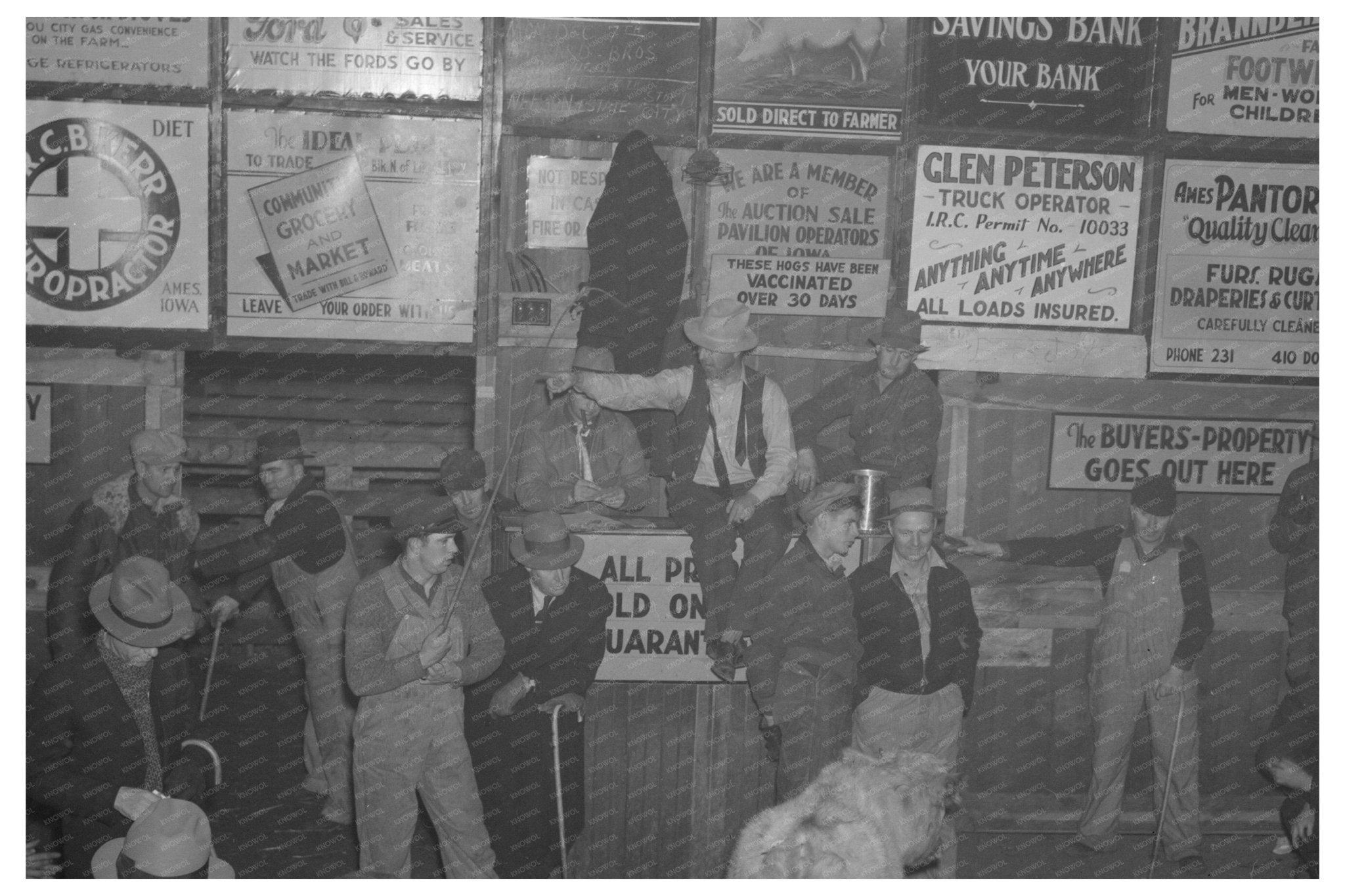 Livestock Auction at Sales Hall Ames Iowa December 1936 - Available at KNOWOL