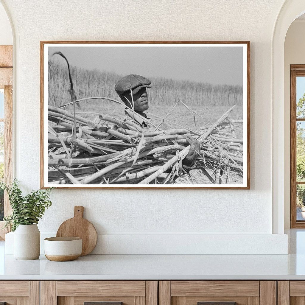 Loading Sugarcane onto Wagon Louisiana October 1938 - Available at KNOWOL