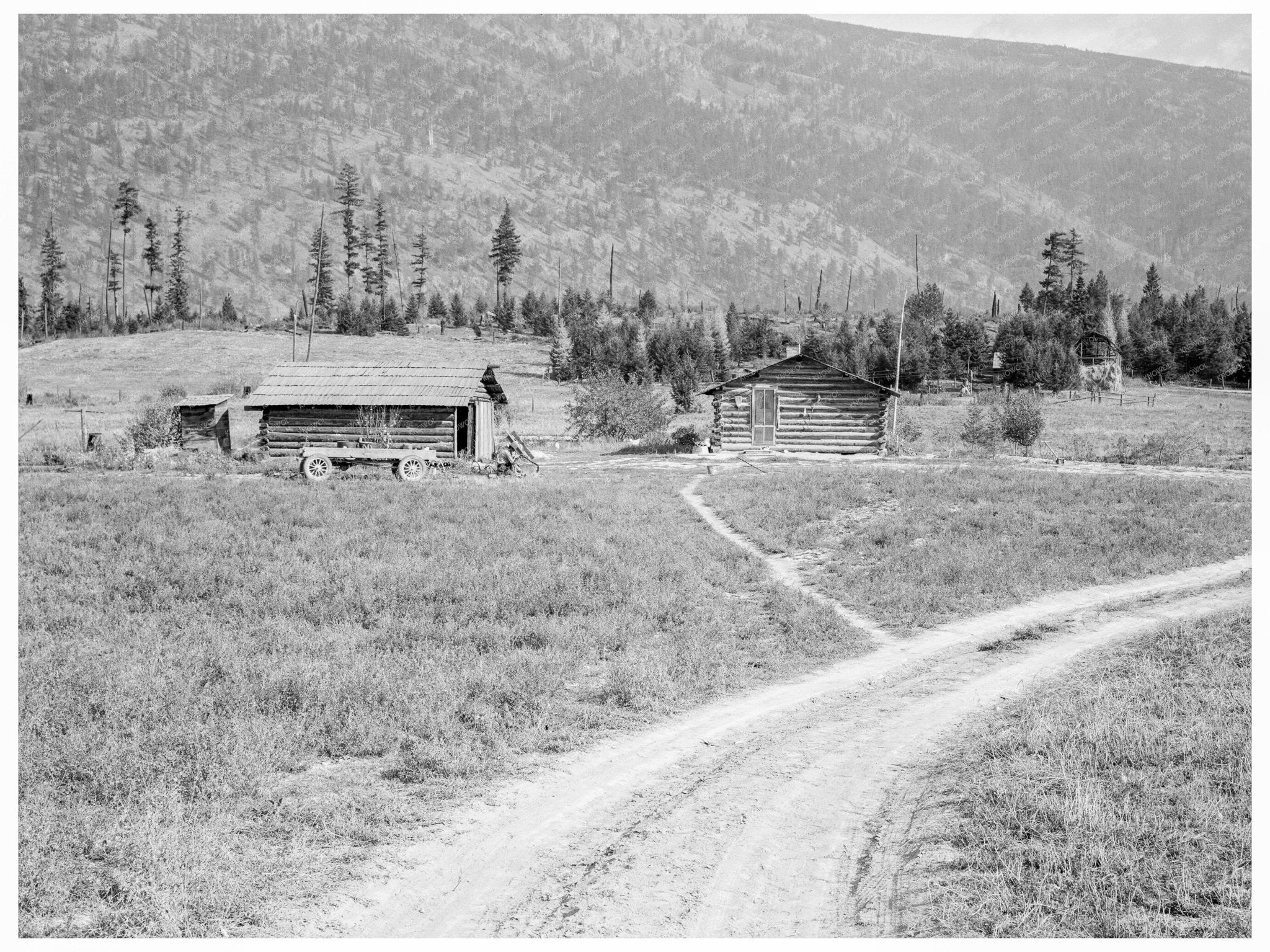 Log Buildings and Cleared Land Boundary County Idaho 1939 - Available at KNOWOL