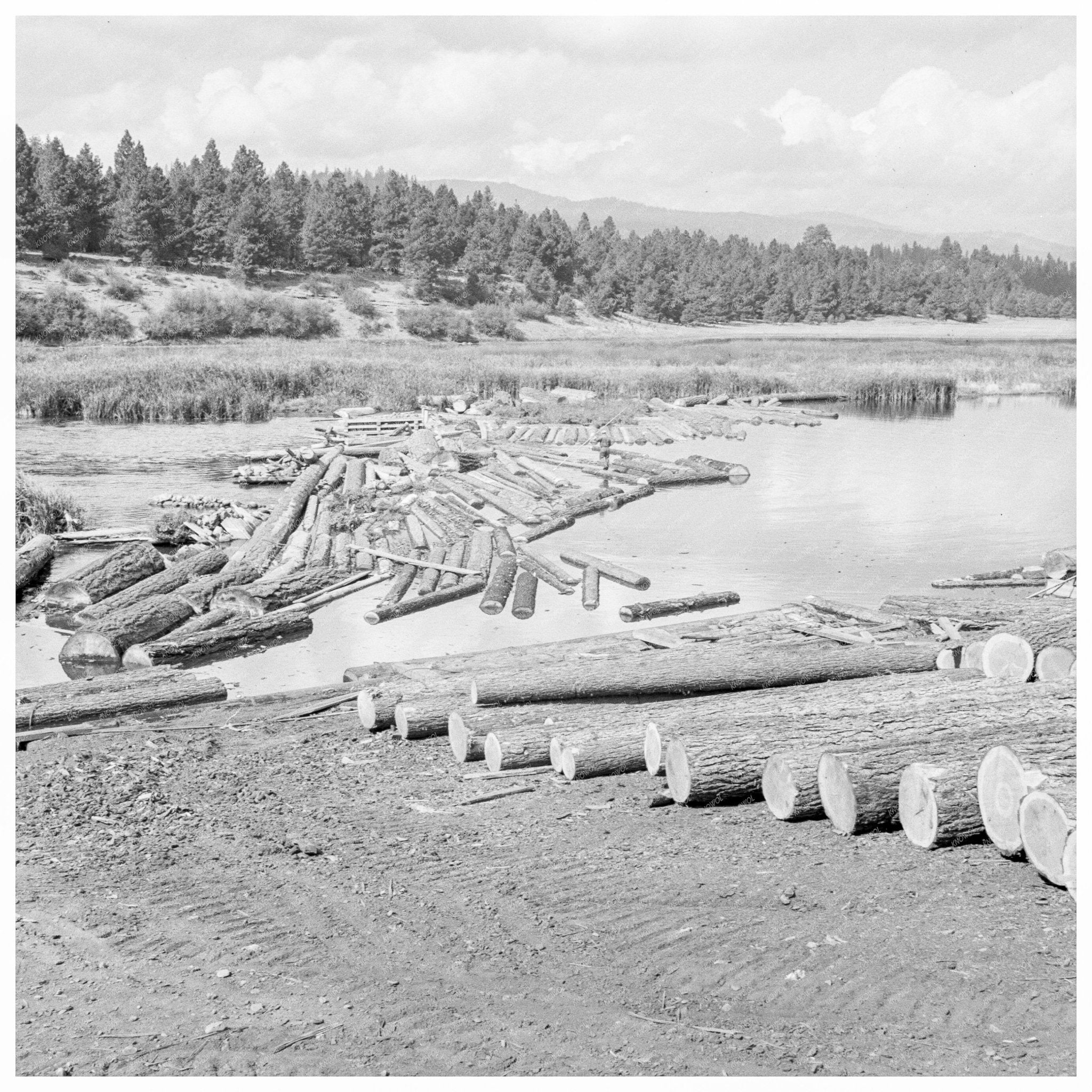 Log Raft and Chute at Klamath River Mill 1939 - Available at KNOWOL