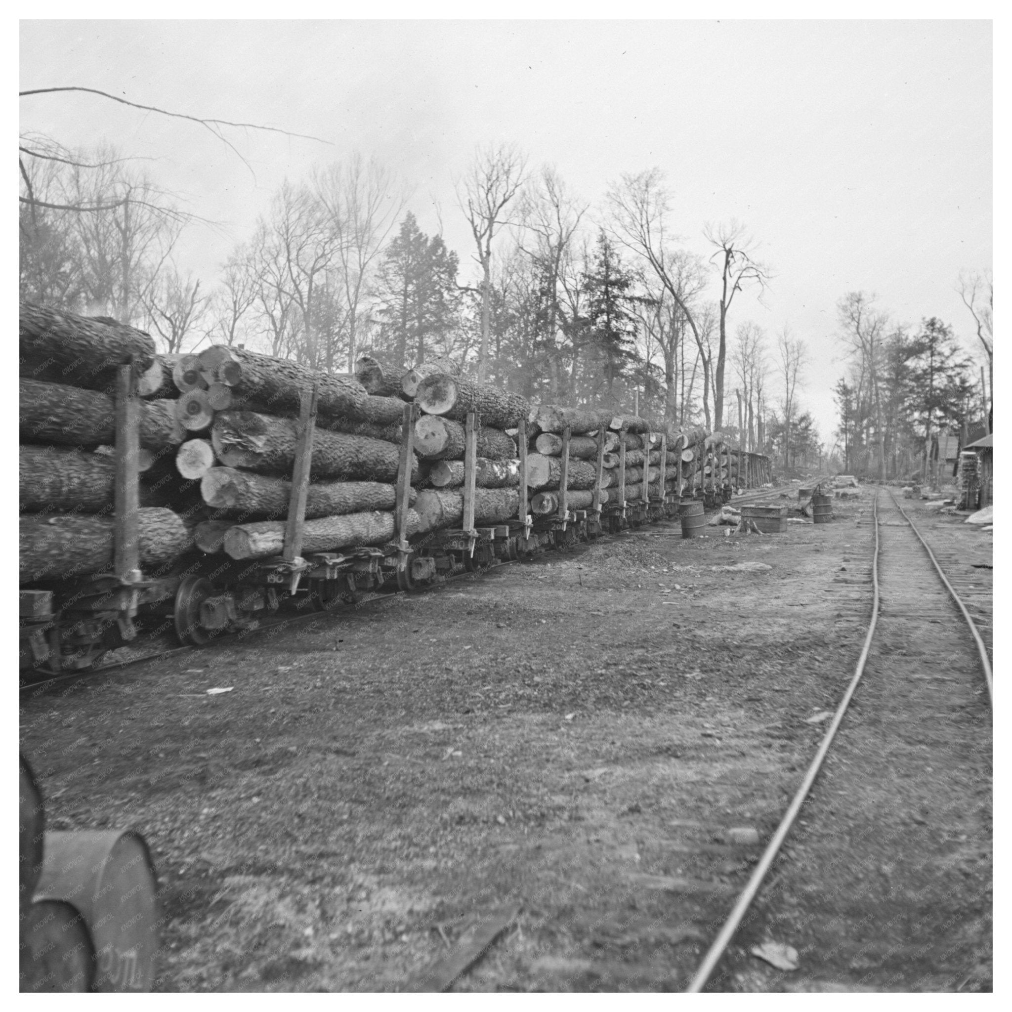 Log Train at Lumber Camp in Forest County Wisconsin 1937 - Available at KNOWOL