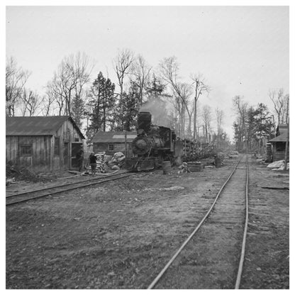 Log Train in Lumber Camp Forest County Wisconsin 1937 - Available at KNOWOL