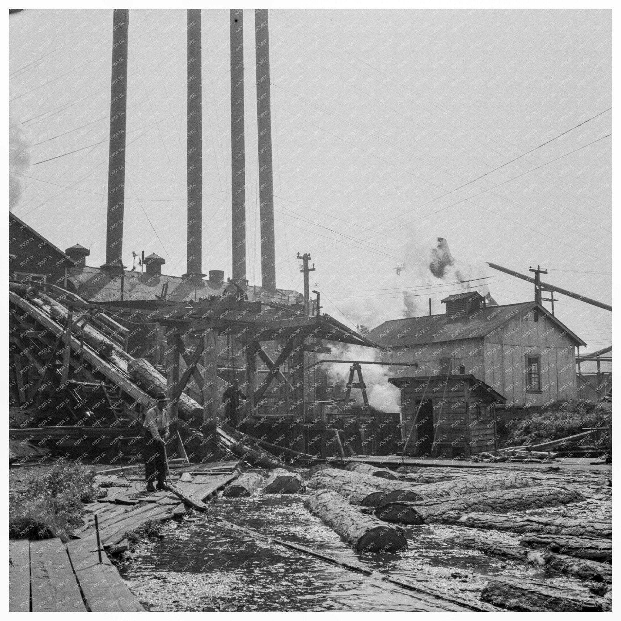 Logging Process at Pelican Bay Lumber Company 1939 - Available at KNOWOL