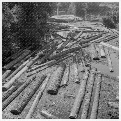 Logs at Sawmill on Marys River Corvallis Oregon 1939 - Available at KNOWOL