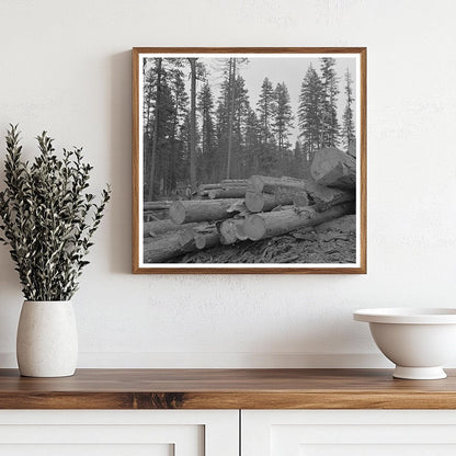 Logs in Malheur National Forest July 1942 - Available at KNOWOL