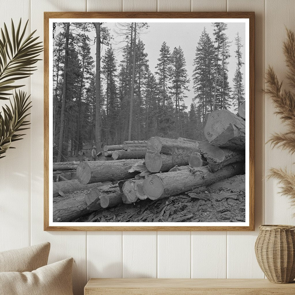 Logs in Malheur National Forest July 1942 - Available at KNOWOL