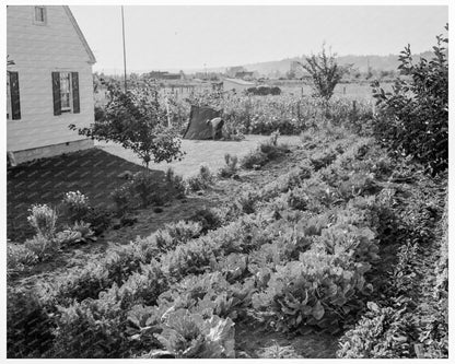 Longview Homestead Project Cowlitz County 1939 - Available at KNOWOL