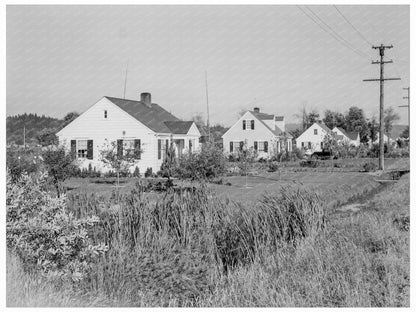 Longview Washington Street with Fruit Trees 1939 - Available at KNOWOL