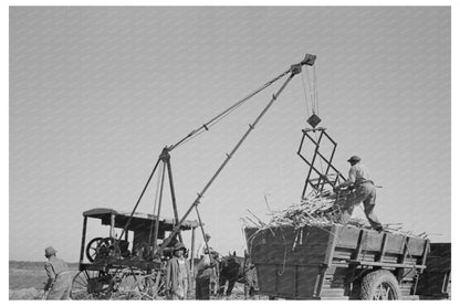 Louisiana Sugarcane Loading Scene October 1938 - Available at KNOWOL