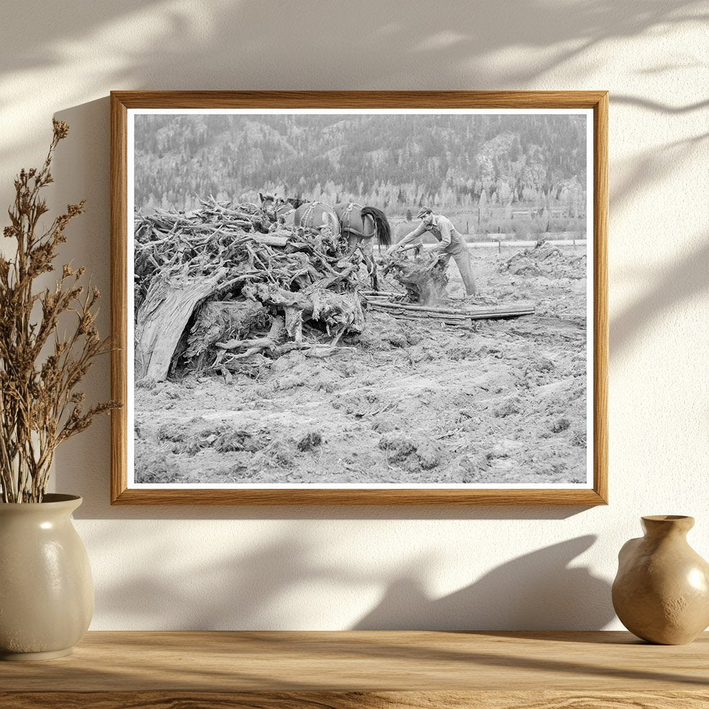 Lumber Mill Worker Clearing Field Idaho 1939 - Available at KNOWOL