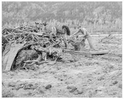 Lumber Mill Worker Clearing Field Idaho 1939 - Available at KNOWOL