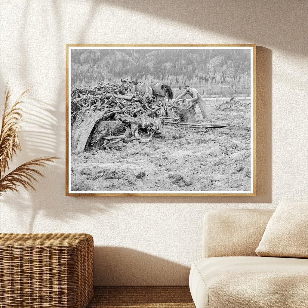 Lumber Mill Worker Clearing Field Idaho 1939 - Available at KNOWOL