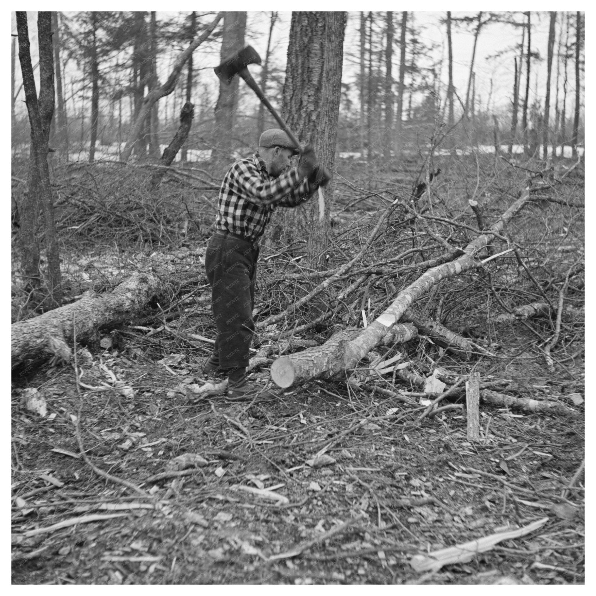 Lumberjack in Forest County Wisconsin April 1937 - Available at KNOWOL