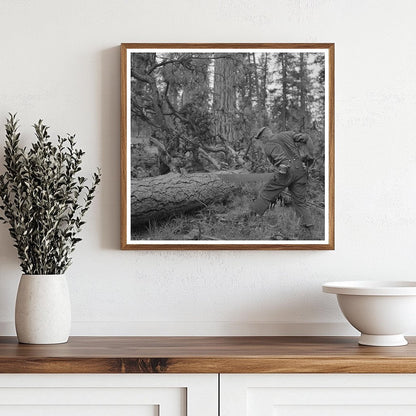 Lumberjack in Grant County Oregon July 1942 - Available at KNOWOL