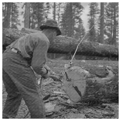 Lumberjack in Malheur National Forest Oregon 1942 - Available at KNOWOL