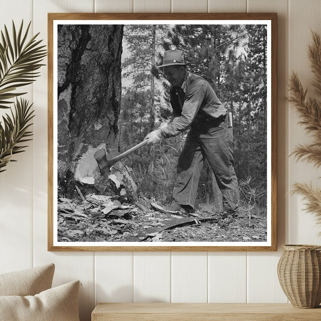 Lumberjack Undercut in Malheur National Forest 1942 - Available at KNOWOL