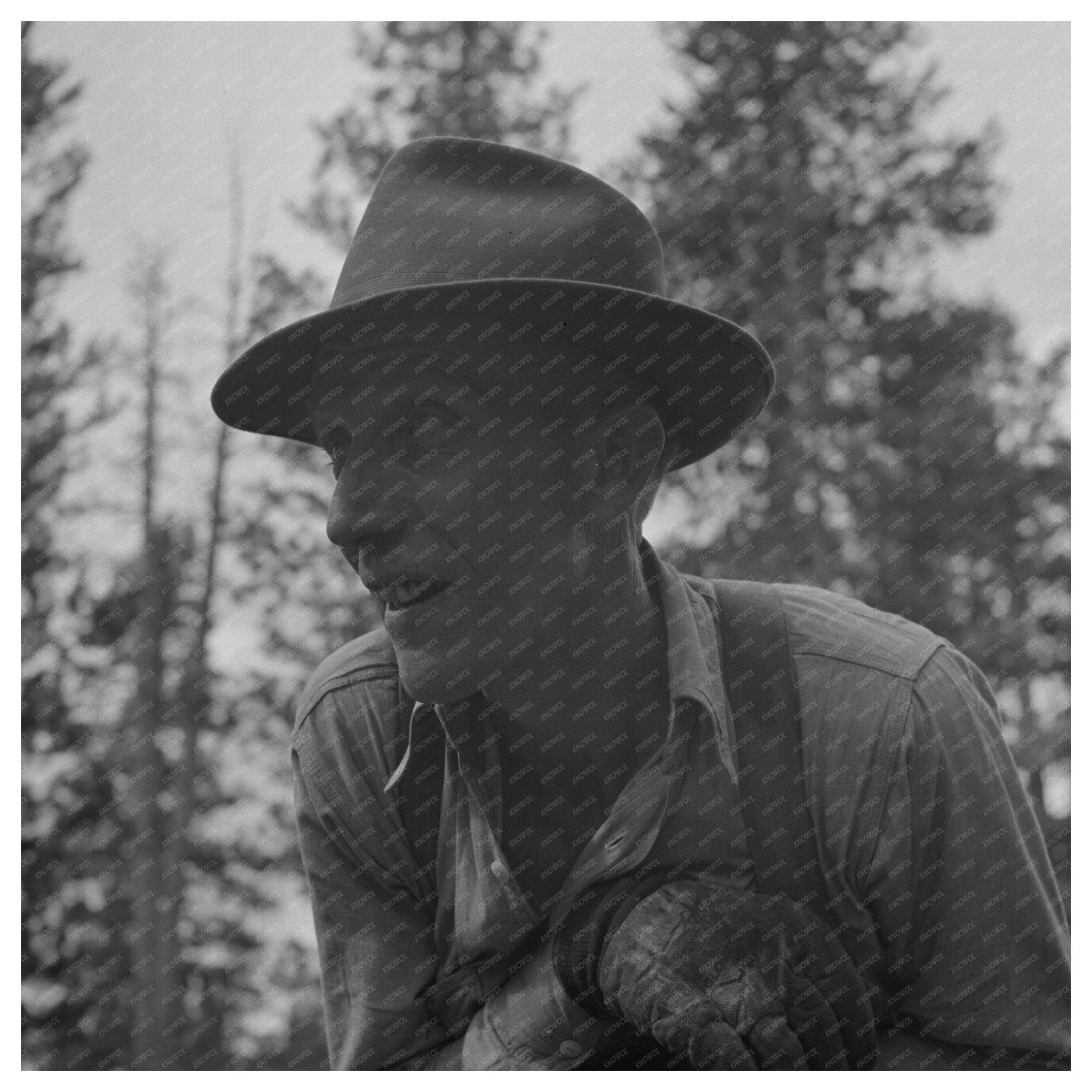 Lumberjack Undercutting Tree Malheur National Forest 1942 - Available at KNOWOL