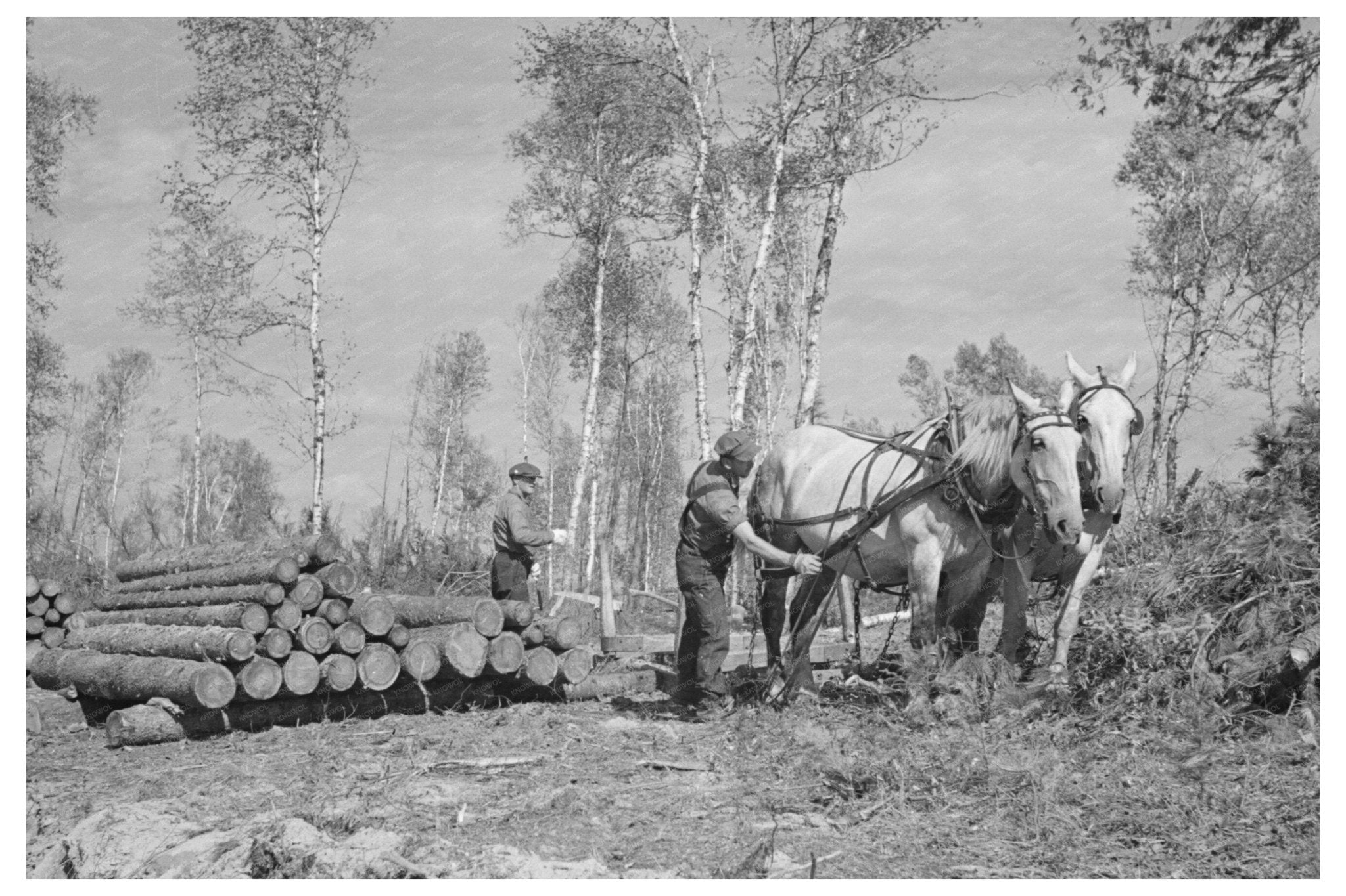 Lumberjacks at Pulpwood Camp Effie Minnesota 1937 - Available at KNOWOL