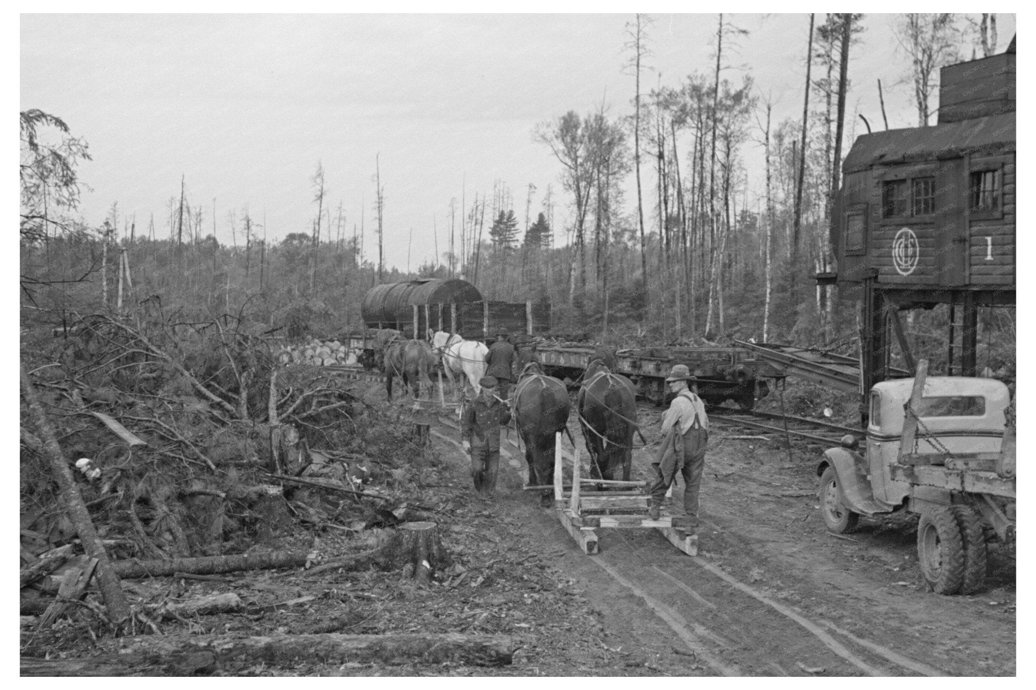 Lumberjacks at Work in Effie Minnesota September 1937 - Available at KNOWOL