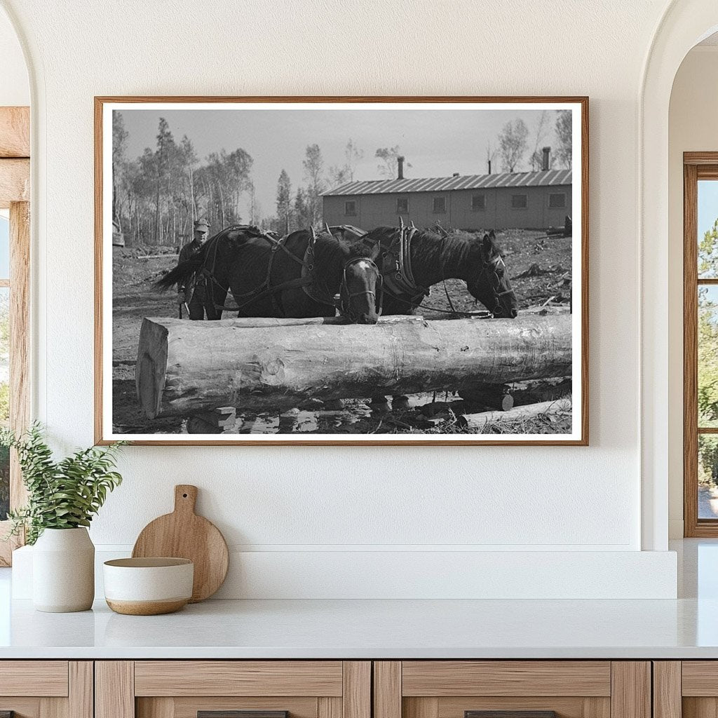 Lumberjacks Watering Horses in Effie Minnesota 1937 - Available at KNOWOL