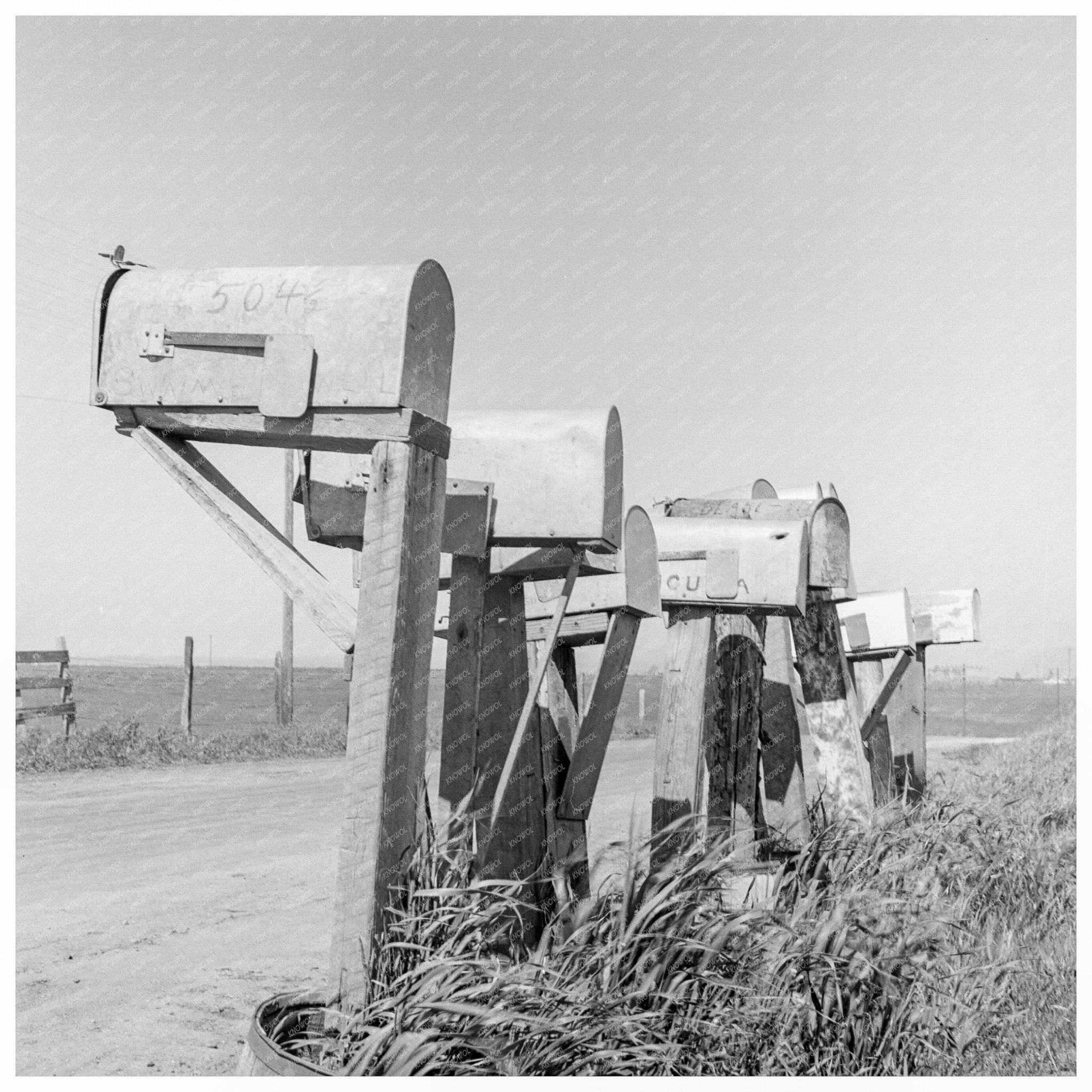 Mailboxes of Lettuce Workers Salinas California 1939 - Available at KNOWOL