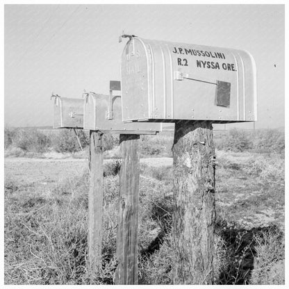 Mailboxes of New Settlers in Nyssa Heights Oregon 1939 - Available at KNOWOL