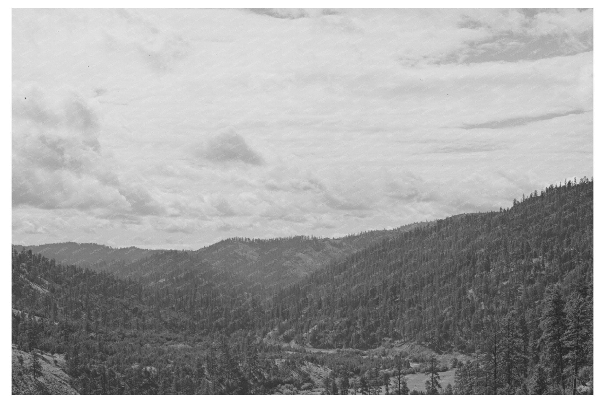 Malheur National Forest Oregon July 1942 Landscape Photo - Available at KNOWOL