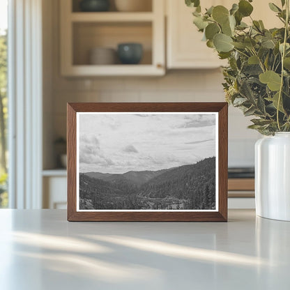 Malheur National Forest Oregon July 1942 Landscape Photo - Available at KNOWOL