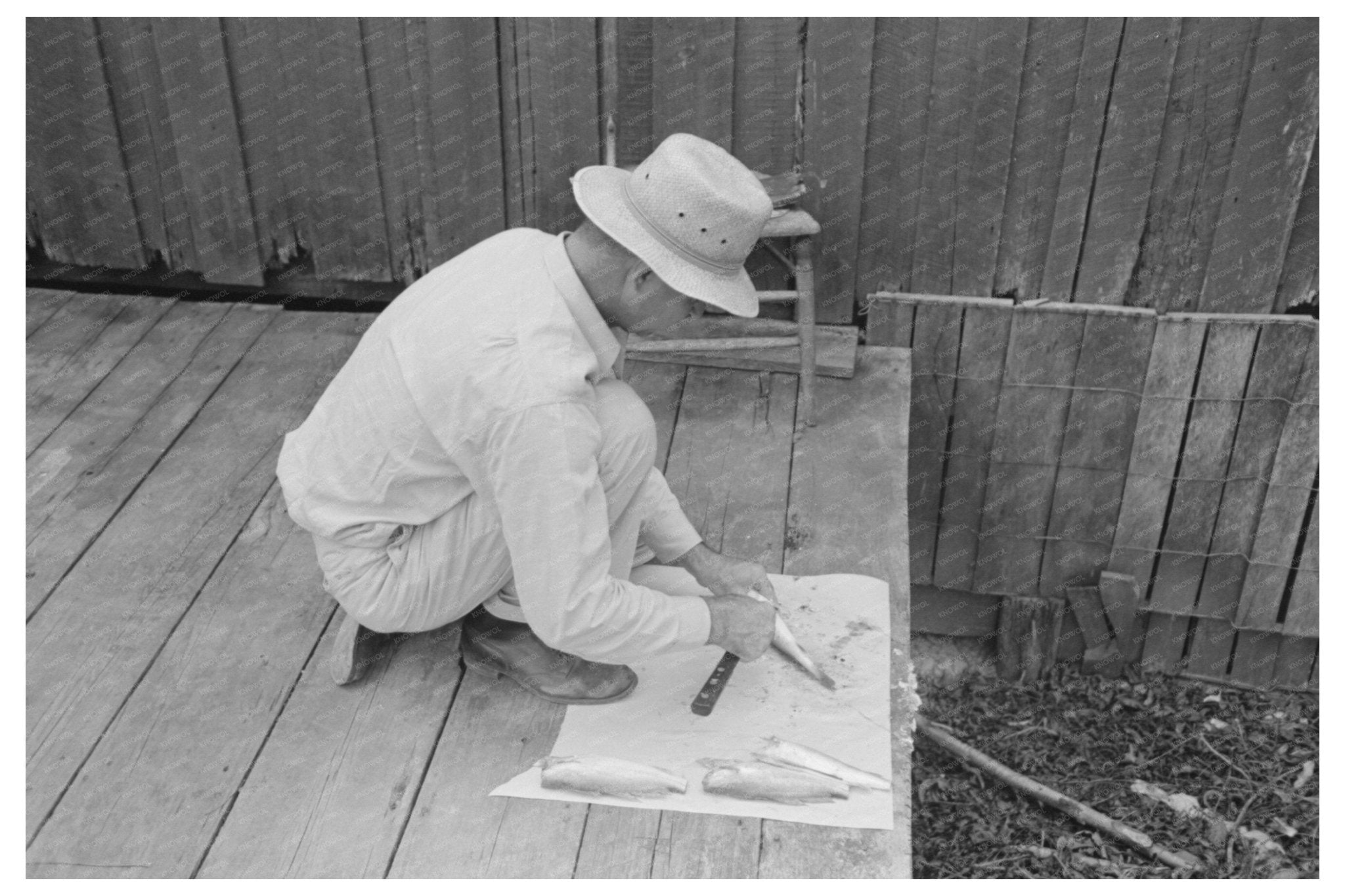 Man Cleaning Fish in Olga Louisiana September 1938 - Available at KNOWOL