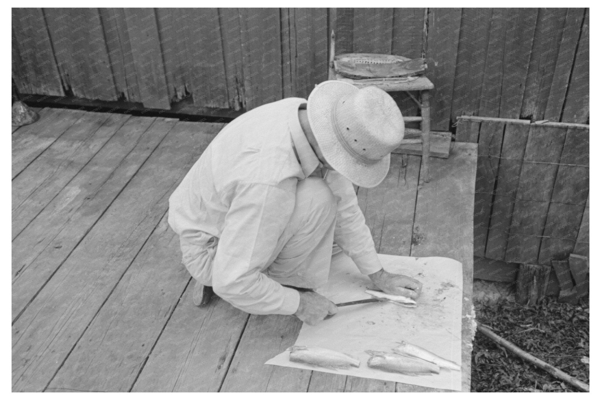 Man Cleaning Fish on Waterfront Olga Louisiana September 1938 - Available at KNOWOL