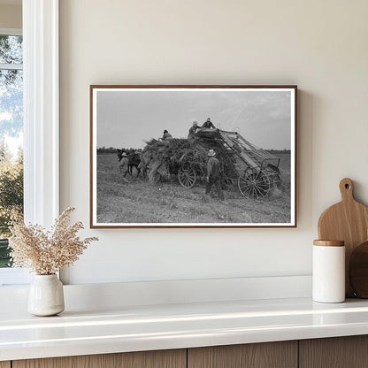 Man Driving Mule with Soybean Hay in Arkansas 1938 - Available at KNOWOL