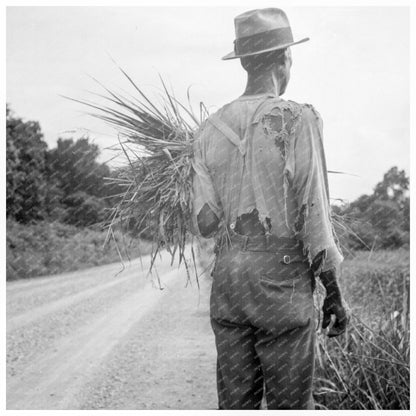 Man on Cotton Patch Vicksburg Mississippi July 1936 - Available at KNOWOL