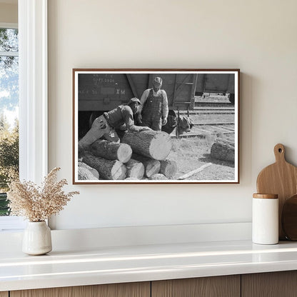 Man Resting on Logs in Eudora Arkansas January 1939 - Available at KNOWOL