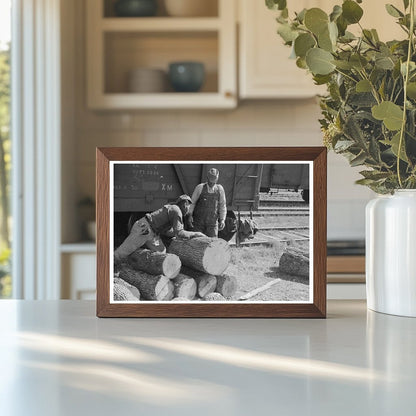 Man Resting on Logs in Eudora Arkansas January 1939 - Available at KNOWOL