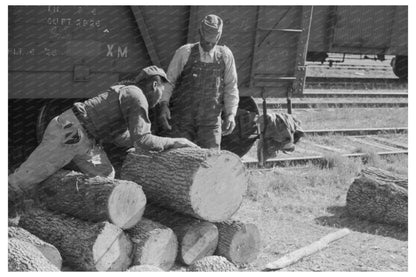 Man Resting on Logs in Eudora Arkansas January 1939 - Available at KNOWOL