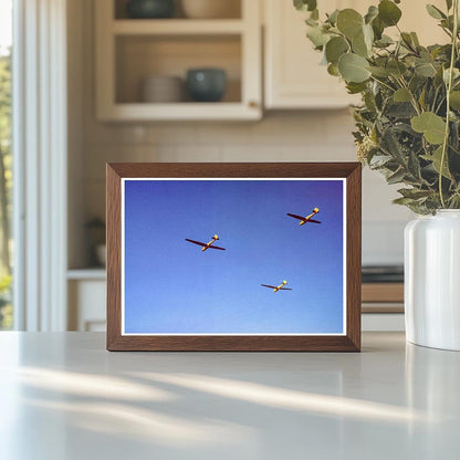 Marine Corps Gliders in Flight Parris Island May 1942 - Available at KNOWOL