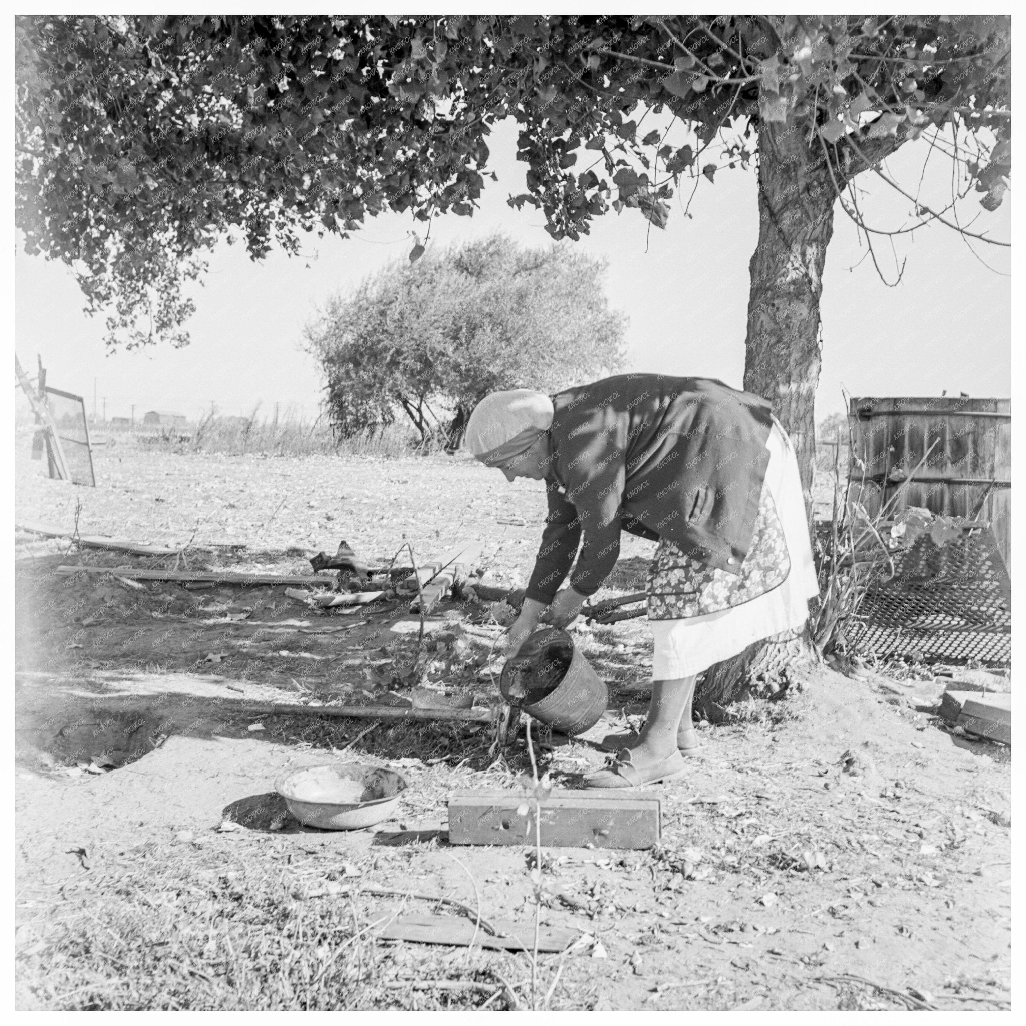 Mary Dimotakis Feeding Dog on Family Farm 1938 - Available at KNOWOL