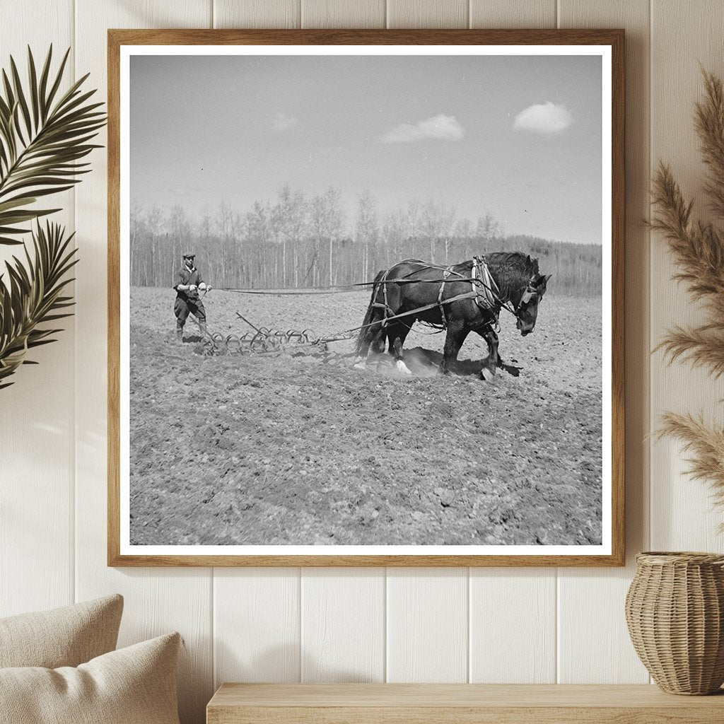 May 1937 Vintage Agriculture Scene in Mansfield Michigan - Available at KNOWOL