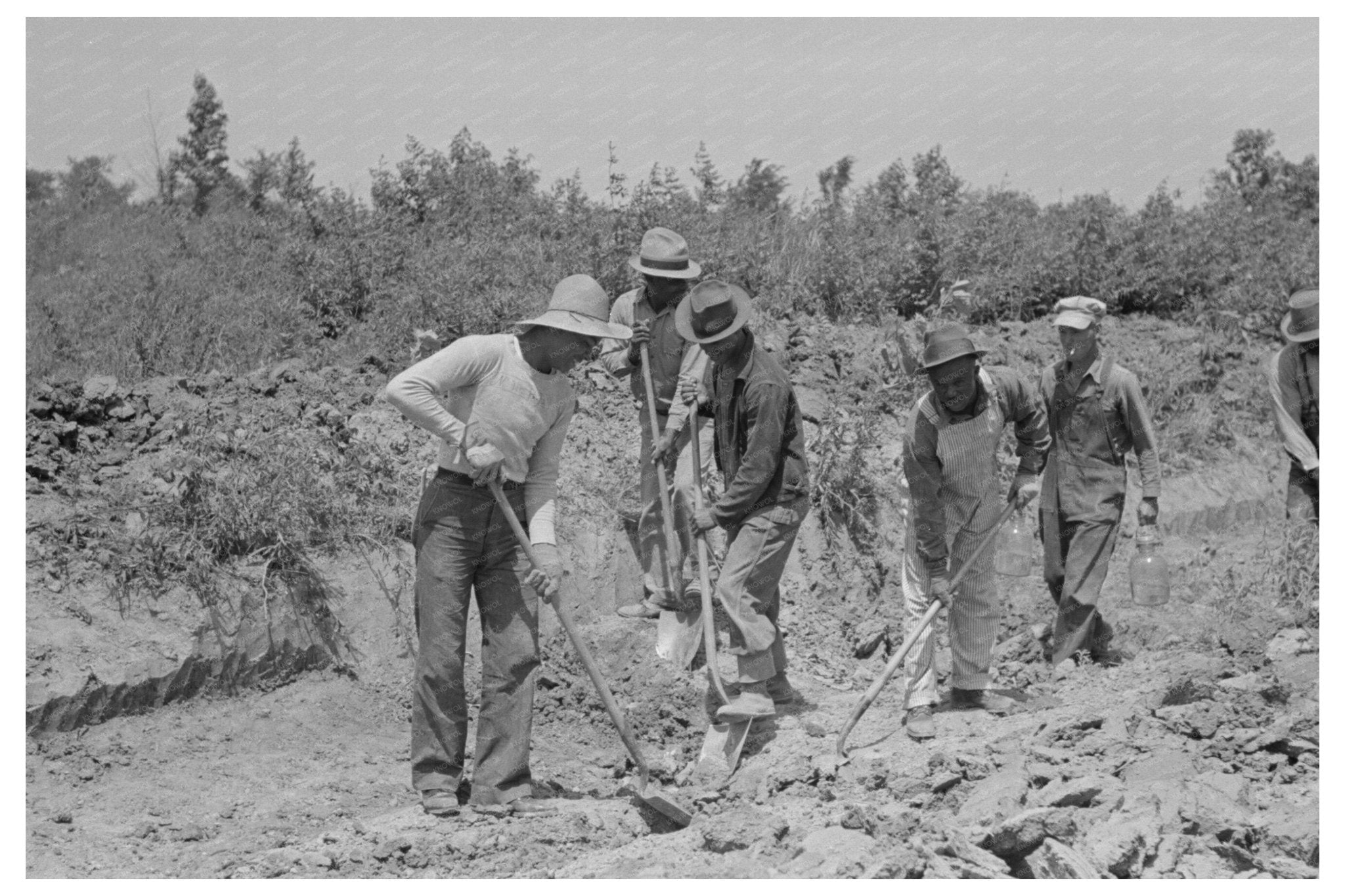 May 1938 Southeast Missouri Farms Project Drainage Ditch - Available at KNOWOL