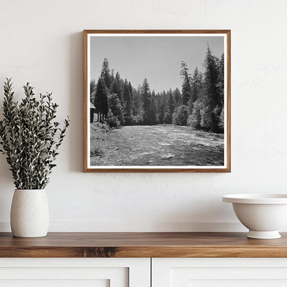 McKenzie River Willamette National Forest Oregon 1942 - Available at KNOWOL