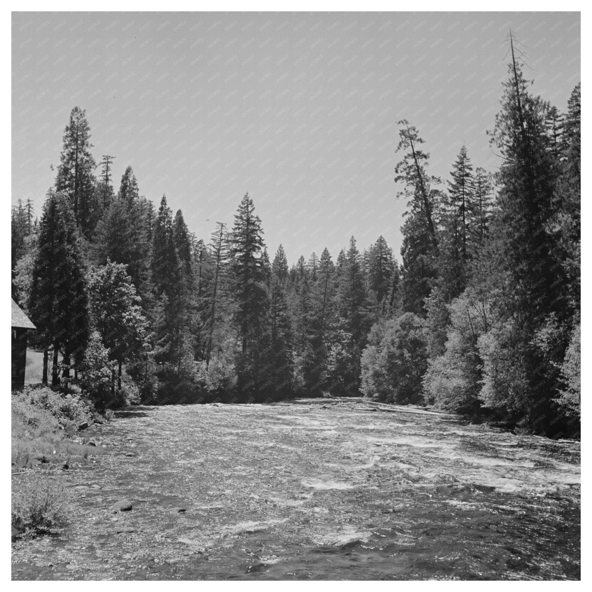 McKenzie River Willamette National Forest Oregon 1942 - Available at KNOWOL