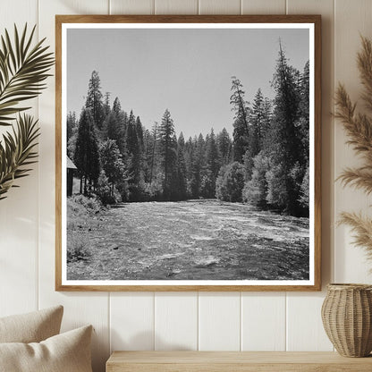 McKenzie River Willamette National Forest Oregon 1942 - Available at KNOWOL