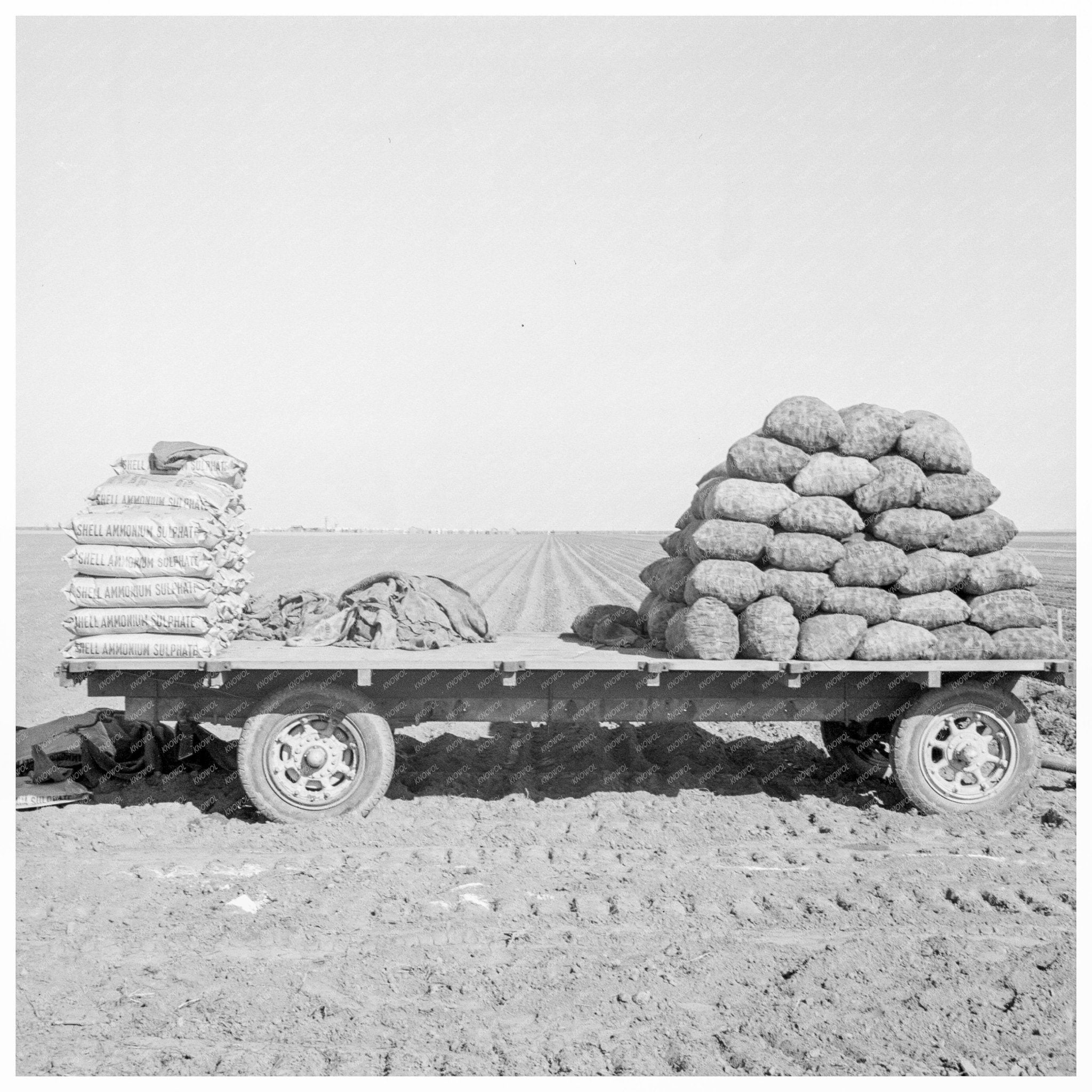 Mechanical Potato Planter in Kern County 1939 - Available at KNOWOL