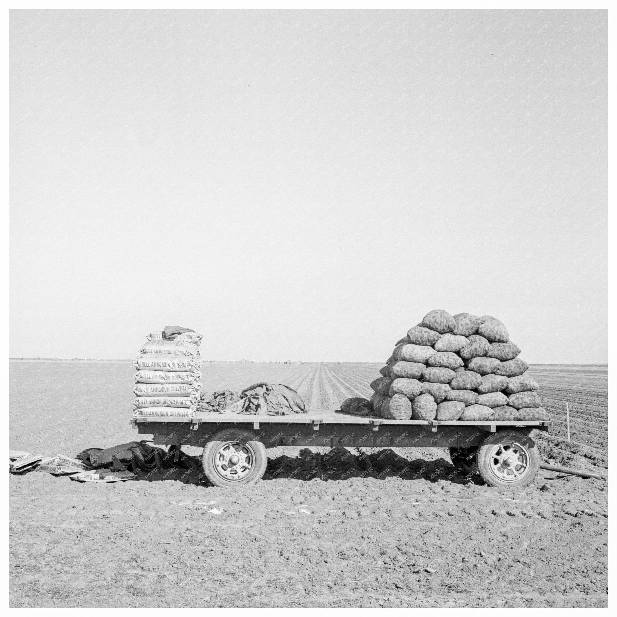 Mechanical Potato Planter Kern County California 1939 - Available at KNOWOL