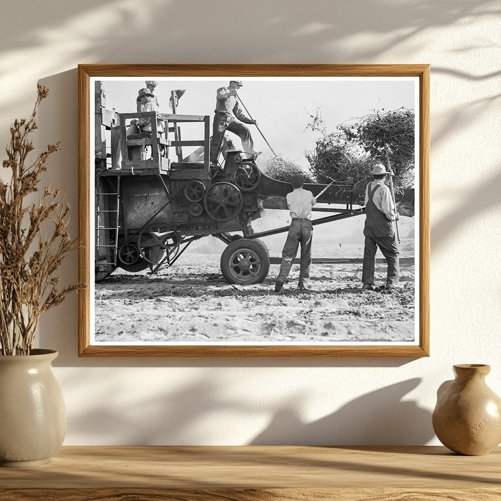 Mechanized Bean Thresher California 1936 Image - Available at KNOWOL