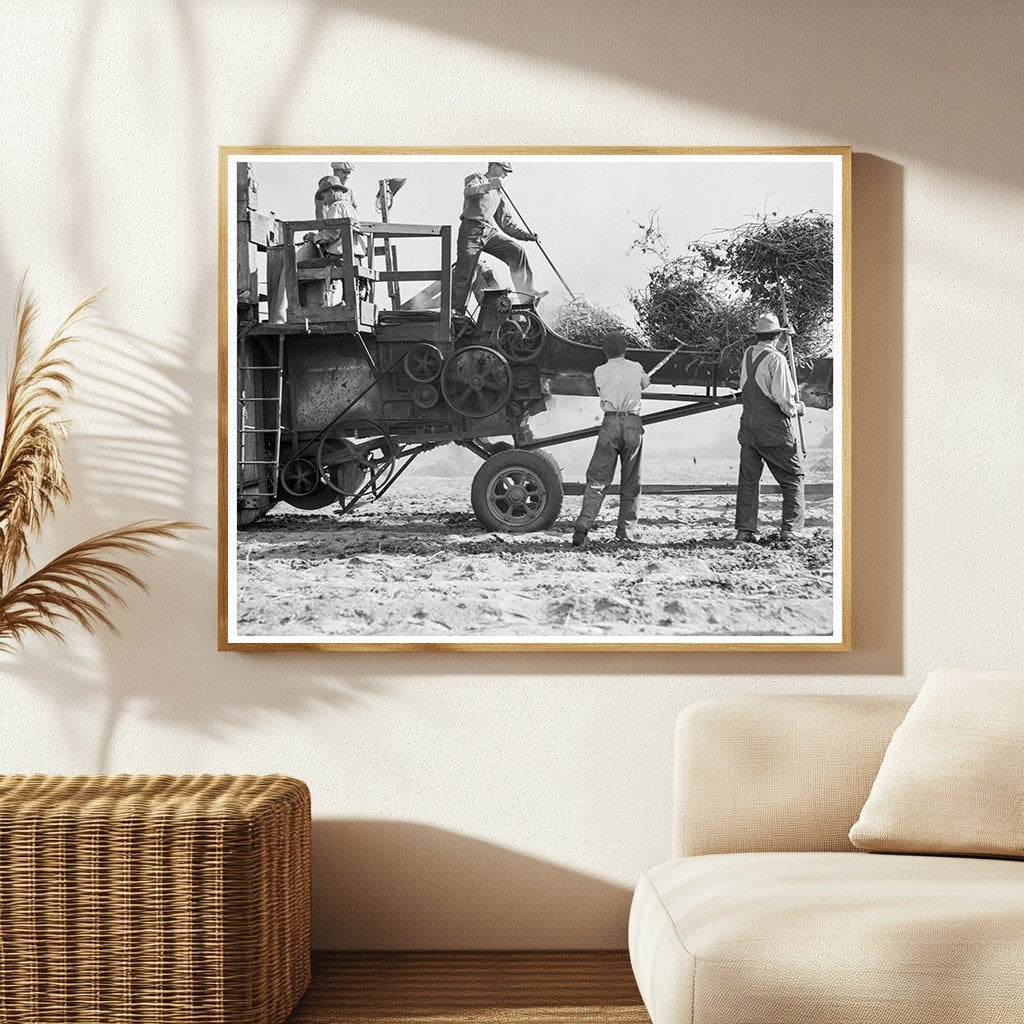 Mechanized Bean Thresher California 1936 Image - Available at KNOWOL