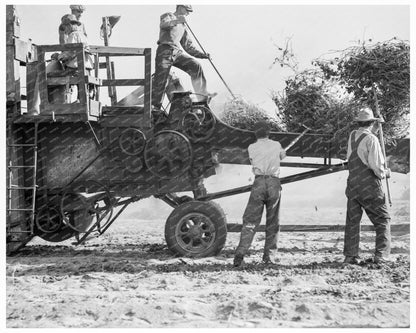 Mechanized Bean Thresher California 1936 Image - Available at KNOWOL