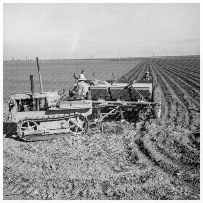 Mechanized Potato Farming in Kern County 1939 - Available at KNOWOL