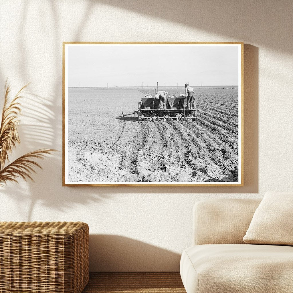 Mechanized Potato Planter in Kern County 1939 - Available at KNOWOL