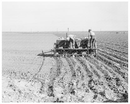 Mechanized Potato Planter in Kern County 1939 - Available at KNOWOL